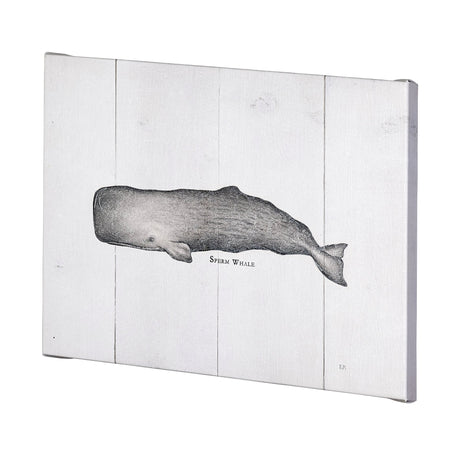 Sperm Whale by Mercana Studio a Hand Embellished Textured Canvas from Mercana - Luna Furniture