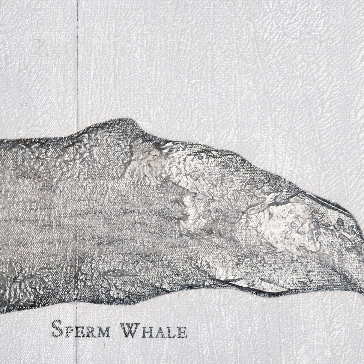 Sperm Whale by Mercana Studio a Hand Embellished Textured Canvas from Mercana - Luna Furniture