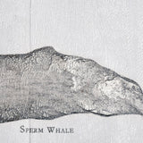 Sperm Whale by Mercana Studio a Hand Embellished Textured Canvas from Mercana - Luna Furniture
