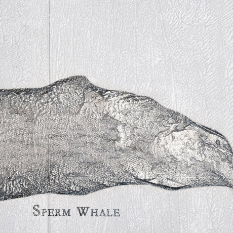 Sperm Whale by Mercana Studio a Hand Embellished Textured Canvas from Mercana - Luna Furniture
