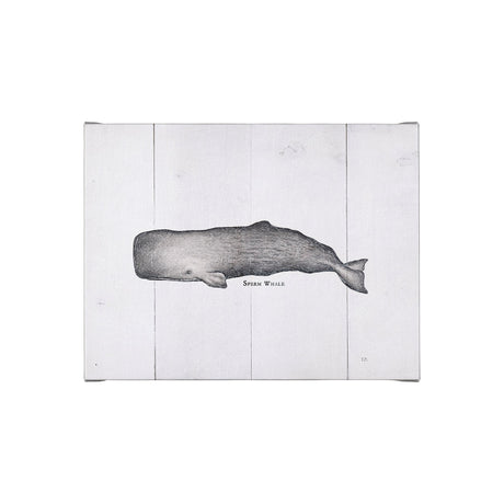 Sperm Whale by Mercana Studio a Hand Embellished Textured Canvas from Mercana - Luna Furniture