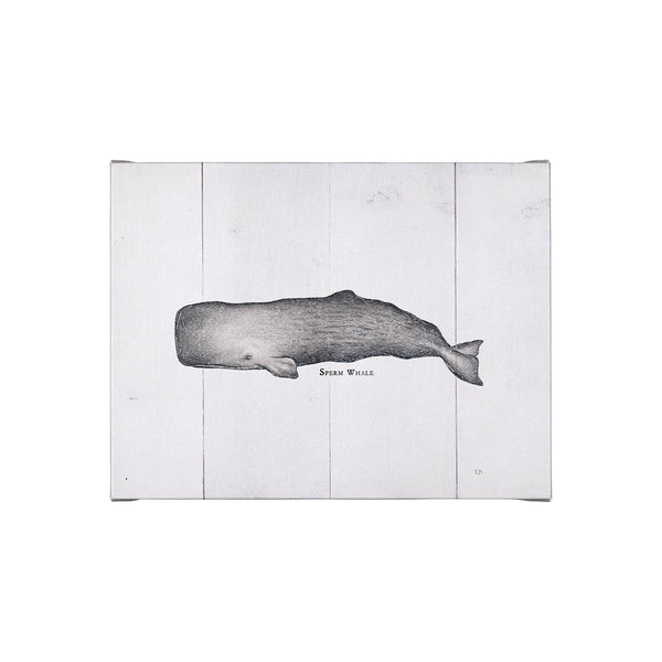 Sperm Whale by Mercana Studio a Hand Embellished Textured Canvas