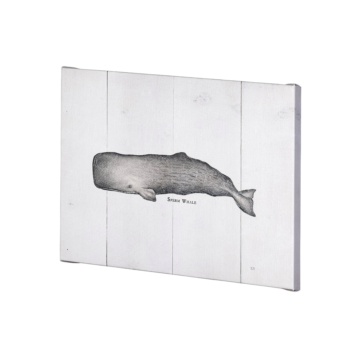 Sperm Whale by Mercana Studio a Hand Embellished Textured Canvas from Mercana - Luna Furniture