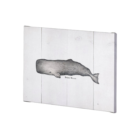 Sperm Whale by Mercana Studio a Hand Embellished Textured Canvas from Mercana - Luna Furniture