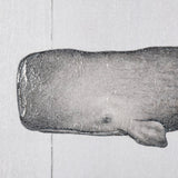 Sperm Whale by Mercana Studio a Hand Embellished Textured Canvas from Mercana - Luna Furniture