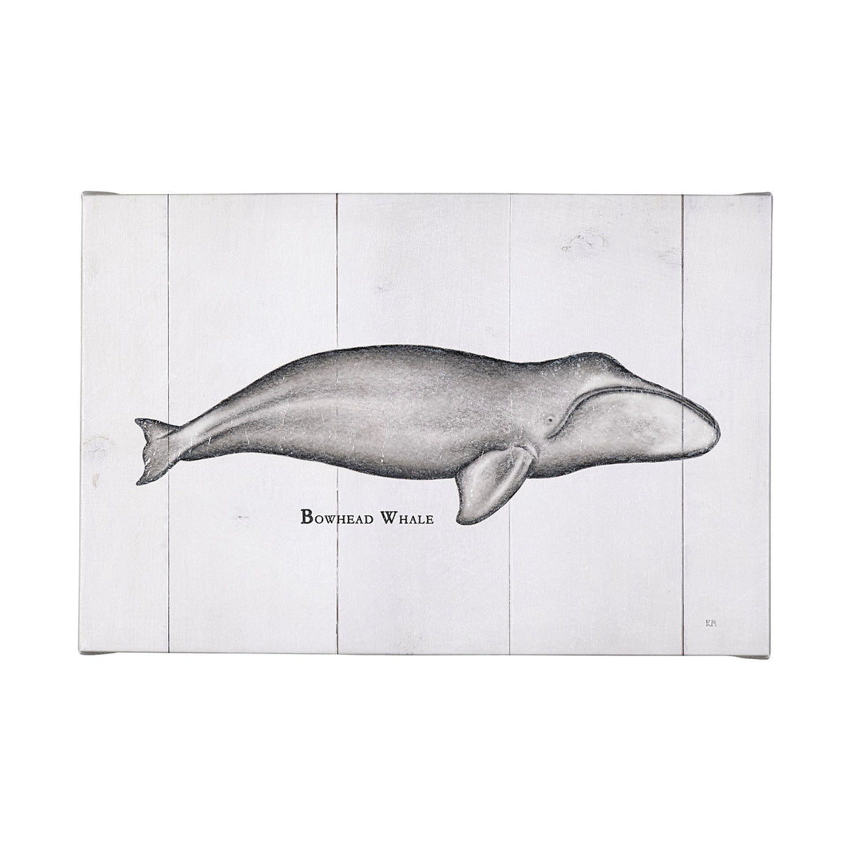 Bowhead Whale by Mercana Studio a Hand Embellished Textured Canvas from Mercana - Luna Furniture
