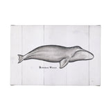 Bowhead Whale by Mercana Studio a Hand Embellished Textured Canvas from Mercana - Luna Furniture