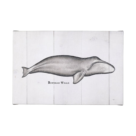 Bowhead Whale by Mercana Studio a Hand Embellished Textured Canvas from Mercana - Luna Furniture