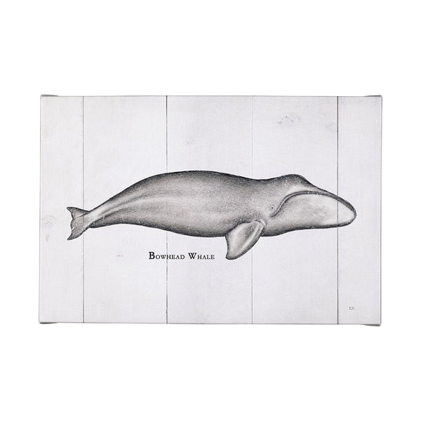 Bowhead Whale by Mercana Studio a Hand Embellished Textured Canvas