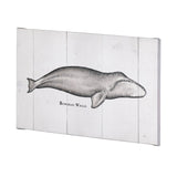 Bowhead Whale by Mercana Studio a Hand Embellished Textured Canvas from Mercana - Luna Furniture