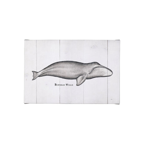 Bowhead Whale by Mercana Studio a Hand Embellished Textured Canvas from Mercana - Luna Furniture