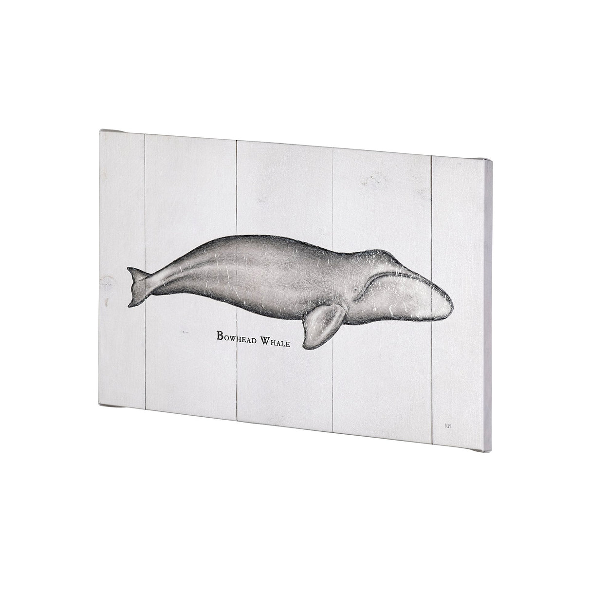 Bowhead Whale by Mercana Studio a Hand Embellished Textured Canvas from Mercana - Luna Furniture