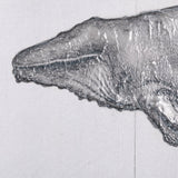 Humpback Whale by Mercana Studio a Hand Embellished Textured Canvas from Mercana - Luna Furniture