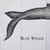 Blue Whale by Mercana Studio a Hand Embellished Textured Canvas from Mercana - Luna Furniture