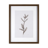 Olive Branch I by Gabrielle a Framed Art Print Matted under Glass from Mercana - Luna Furniture