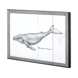 Humpback Whale by Mercana Studio a Hand Embellished Textured Framed Art Print from Mercana - Luna Furniture
