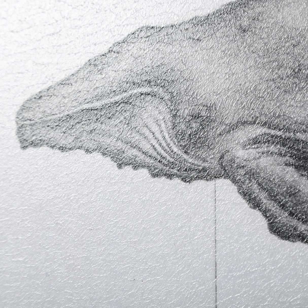 Humpback Whale by Mercana Studio a Hand Embellished Textured Framed Art Print from Mercana - Luna Furniture