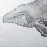 Humpback Whale by Mercana Studio a Hand Embellished Textured Framed Art Print from Mercana - Luna Furniture