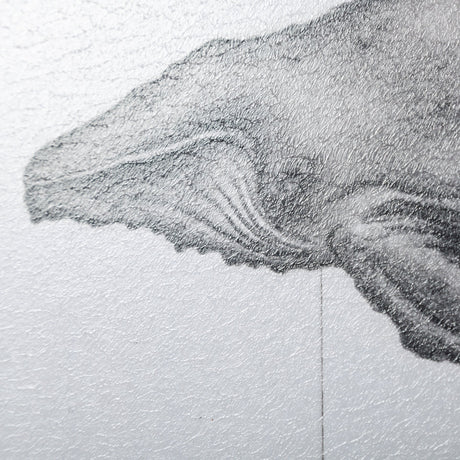 Humpback Whale by Mercana Studio a Hand Embellished Textured Framed Art Print from Mercana - Luna Furniture