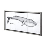 Blue Whale by Mercana Studio a Hand Embellished Textured Framed Art Print from Mercana - Luna Furniture