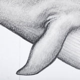 Blue Whale by Mercana Studio a Hand Embellished Textured Framed Art Print from Mercana - Luna Furniture