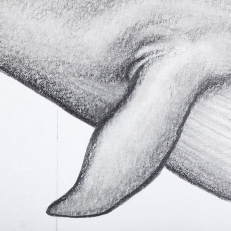Blue Whale by Mercana Studio a Hand Embellished Textured Framed Art Print from Mercana - Luna Furniture