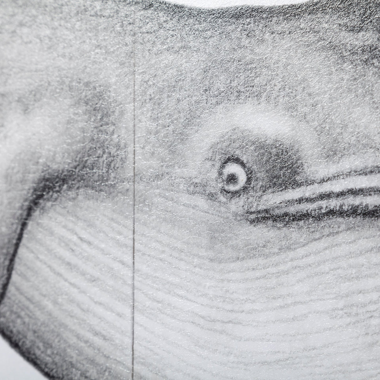 Blue Whale by Mercana Studio a Hand Embellished Textured Framed Art Print from Mercana - Luna Furniture