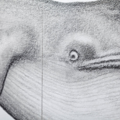 Blue Whale by Mercana Studio a Hand Embellished Textured Framed Art Print from Mercana - Luna Furniture