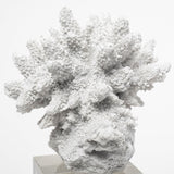 Isla (Large) 5L x 5W White Replica Resin Coral On Clear White Glass from Mercana - Luna Furniture