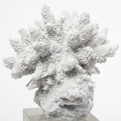 Isla (Large) 5L x 5W White Replica Resin Coral On Clear White Glass from Mercana - Luna Furniture
