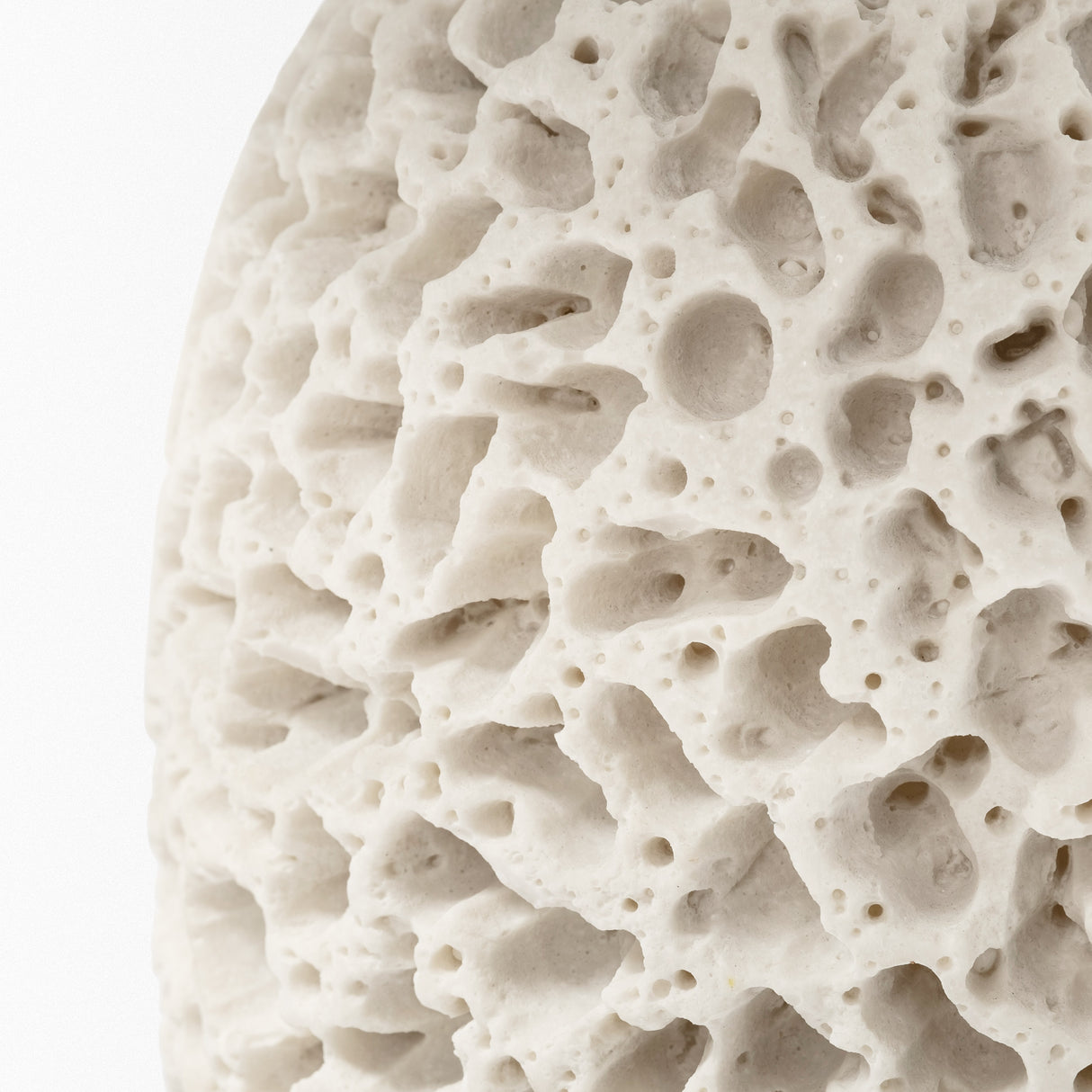 Mariam (26"H) Cream Coral-Inspired Base Table Lamp from Mercana - Luna Furniture