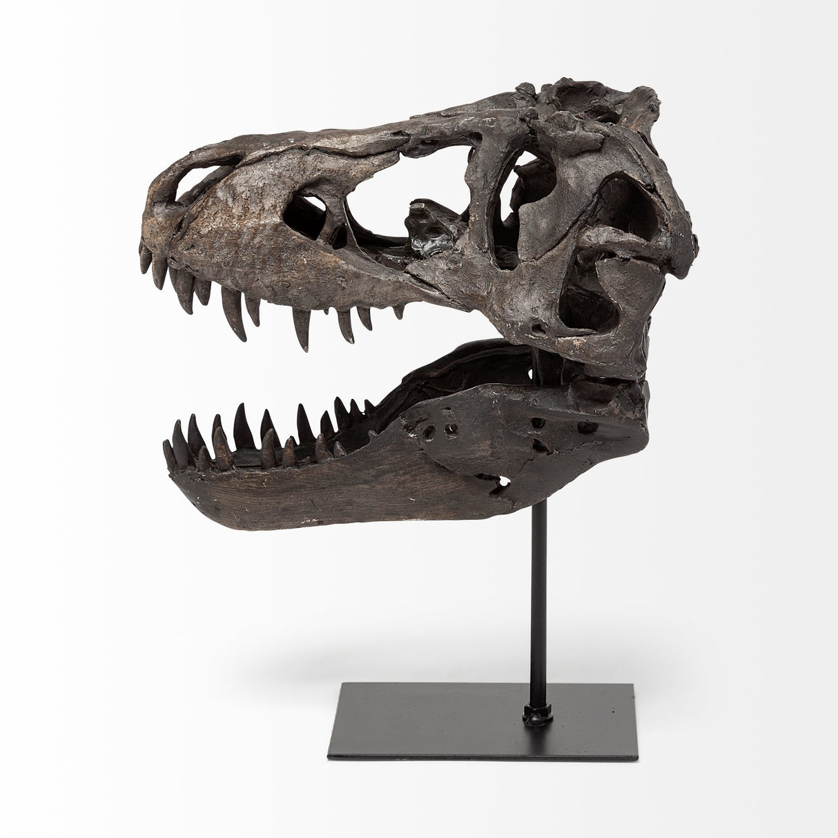 Jurassic 6L x 10W Brown Resin Tyrannosaurus Skull Replica from Mercana - Luna Furniture