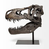 Lagrane 19L x 11W Brown Resin Tyrannosaurus T Rex Dinosaur Skull Replica from Mercana - Luna Furniture