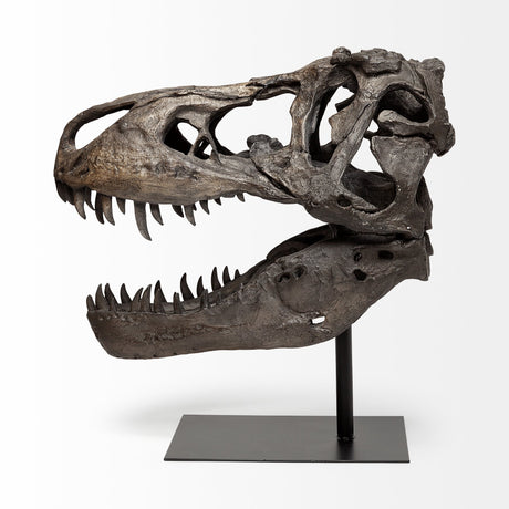 Lagrane 19L x 11W Brown Resin Tyrannosaurus T Rex Dinosaur Skull Replica from Mercana - Luna Furniture