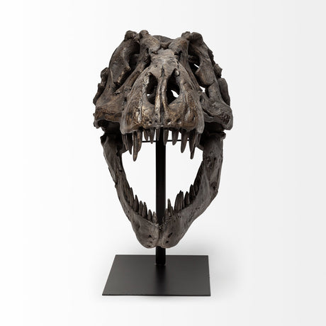 Lagrane 19L x 11W Brown Resin Tyrannosaurus T Rex Dinosaur Skull Replica from Mercana - Luna Furniture