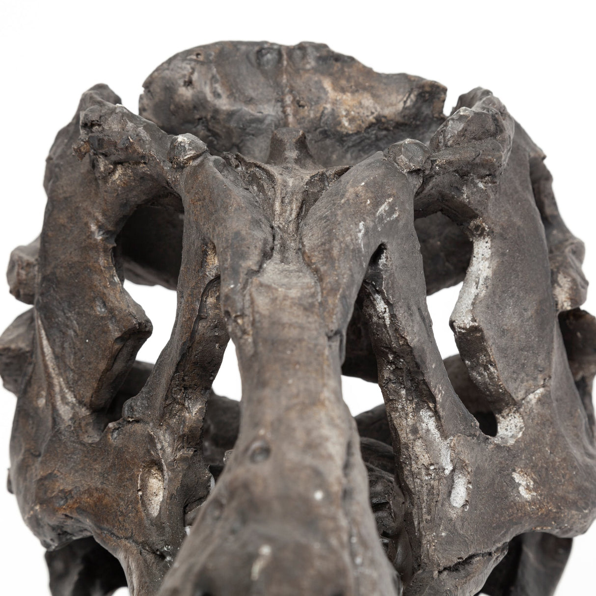 Jurassic 6L x 10W Brown Resin Tyrannosaurus Skull Replica from Mercana - Luna Furniture