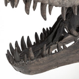 Jurassic 6L x 10W Brown Resin Tyrannosaurus Skull Replica from Mercana - Luna Furniture