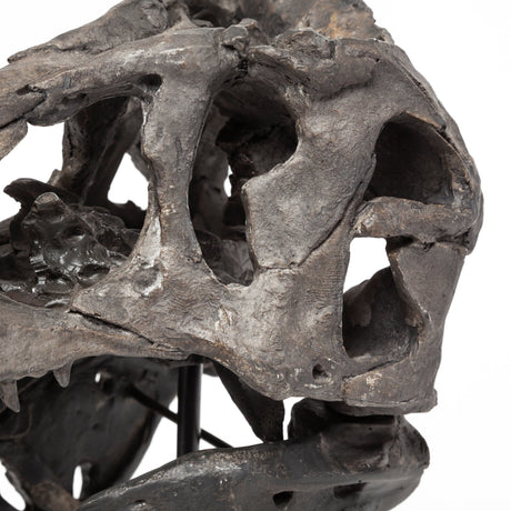Jurassic 6L x 10W Brown Resin Tyrannosaurus Skull Replica from Mercana - Luna Furniture
