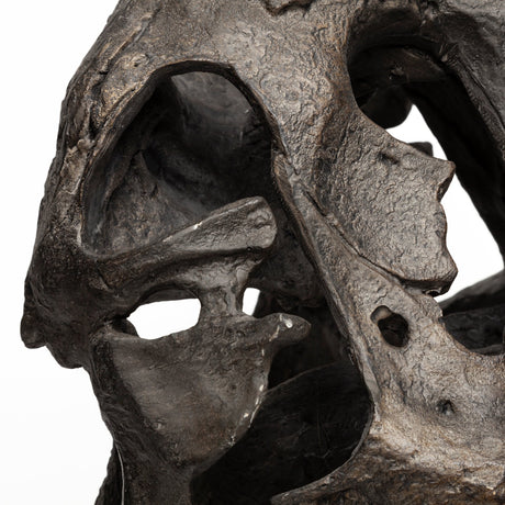 Lagrane 19L x 11W Brown Resin Tyrannosaurus T Rex Dinosaur Skull Replica from Mercana - Luna Furniture