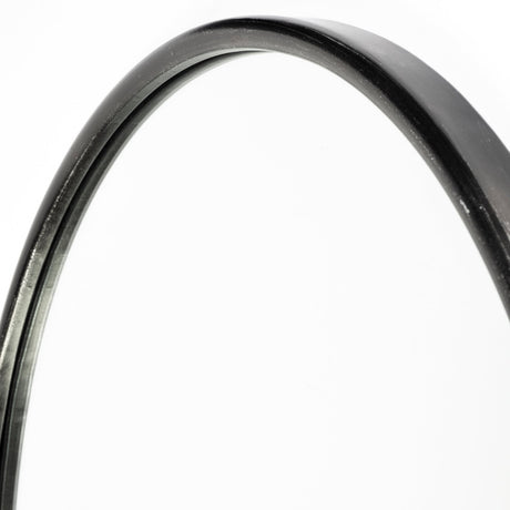Sylvia II 24"x35" Oval Black Metal Frame Mirror from Mercana - Luna Furniture