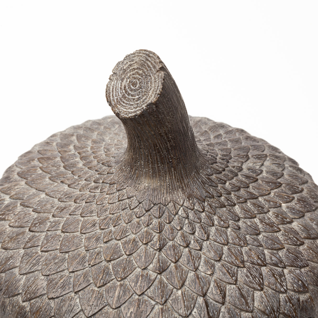 Mandor I (Small) 6L x 6W Brown Resin Acorn Box from Mercana - Luna Furniture
