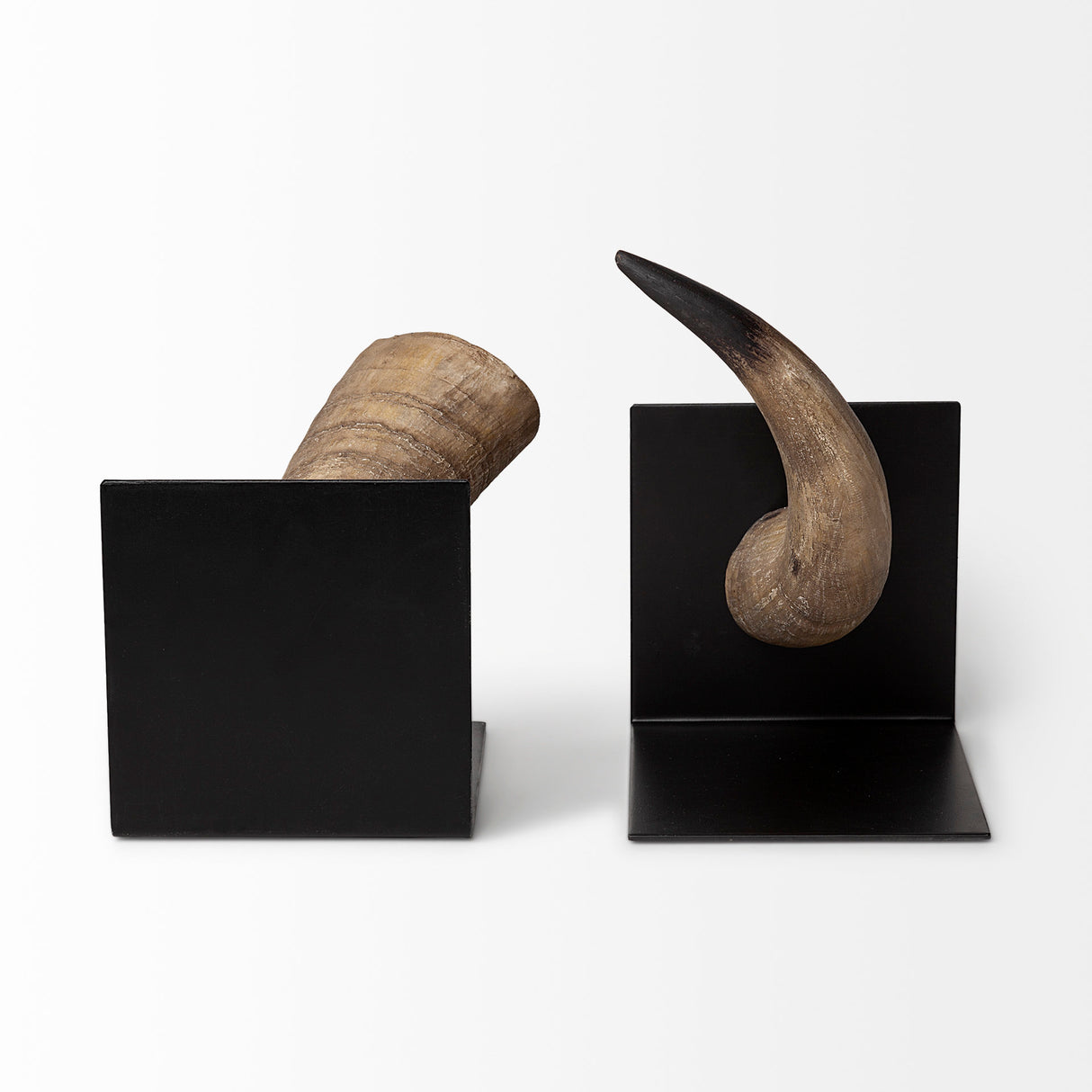 Nickerson (Set of 2) 6L x 7W Bull Horn Bookends from Mercana - Luna Furniture