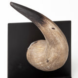 Nickerson (Set of 2) 6L x 7W Bull Horn Bookends from Mercana - Luna Furniture