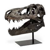 Lagrane 19L x 11W Brown Resin Tyrannosaurus T Rex Dinosaur Skull Replica from Mercana - Luna Furniture