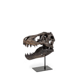 Jurassic 6L x 10W Brown Resin Tyrannosaurus Skull Replica from Mercana - Luna Furniture