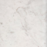 Lucas 30x30 White Marble Top Black Metal Base Coffee Table from Mercana - Luna Furniture