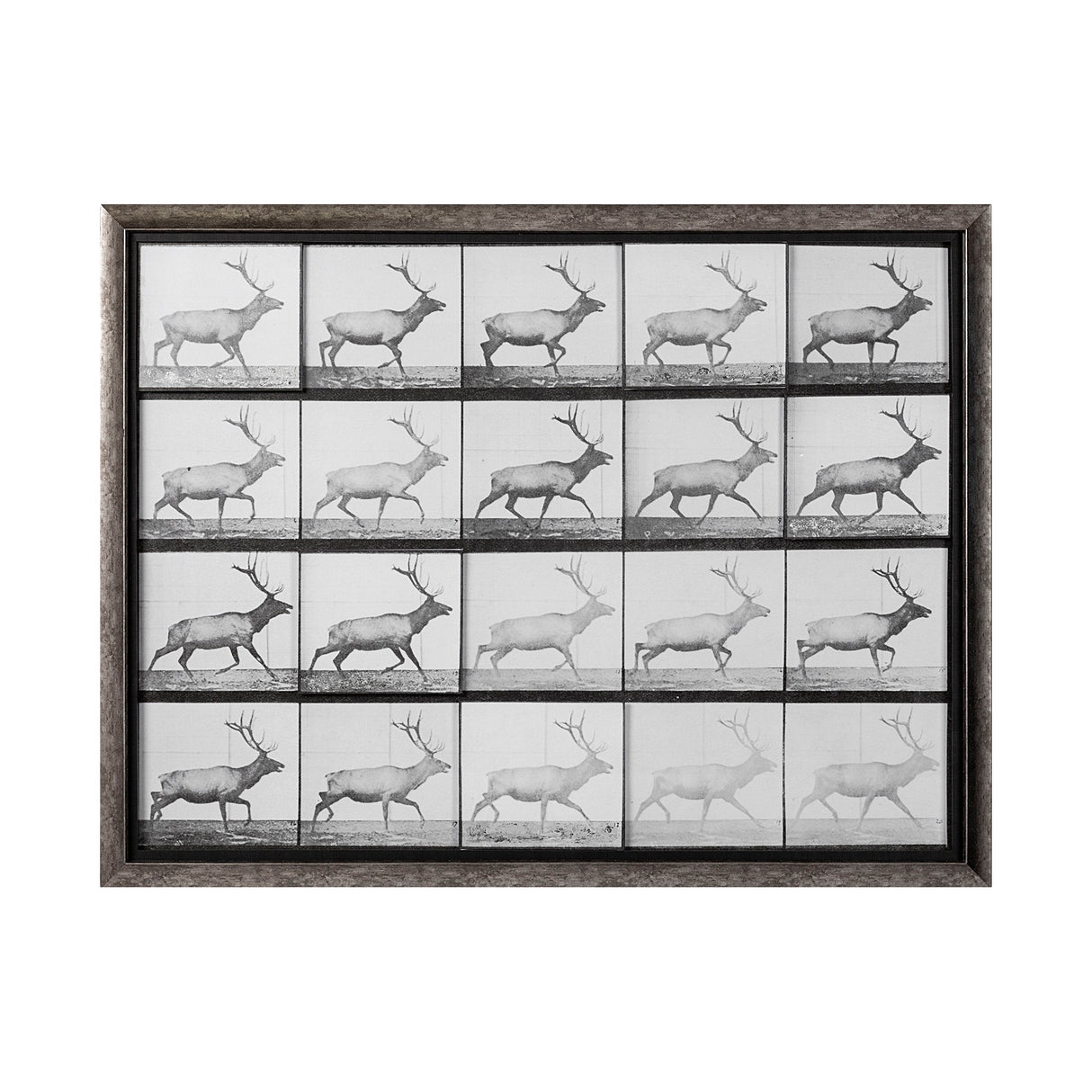 Elk Trotting by Eadweard Muybridge a Hand Embellished Textured Framed Art Print Matted under Glass from Mercana - Luna Furniture