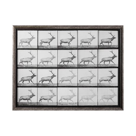 Elk Trotting by Eadweard Muybridge a Hand Embellished Textured Framed Art Print Matted under Glass from Mercana - Luna Furniture