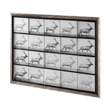 Elk Trotting by Eadweard Muybridge a Hand Embellished Textured Framed Art Print Matted under Glass from Mercana - Luna Furniture