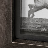 Elk Trotting by Eadweard Muybridge a Hand Embellished Textured Framed Art Print Matted under Glass from Mercana - Luna Furniture